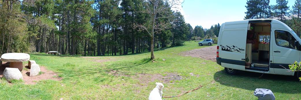 Reprogramación Biológica y Emocional en el Pirineo